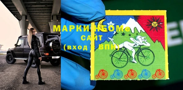 шишки Осинники