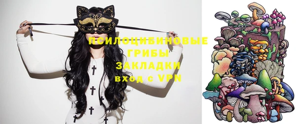 прущая мука Пестово