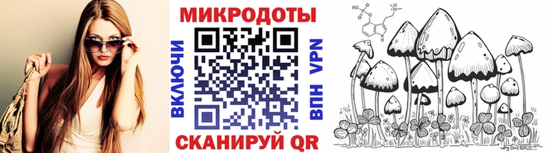 где купить   blacksprut tor  Галлюциногенные грибы MAGIC MUSHROOMS  Слюдянка 